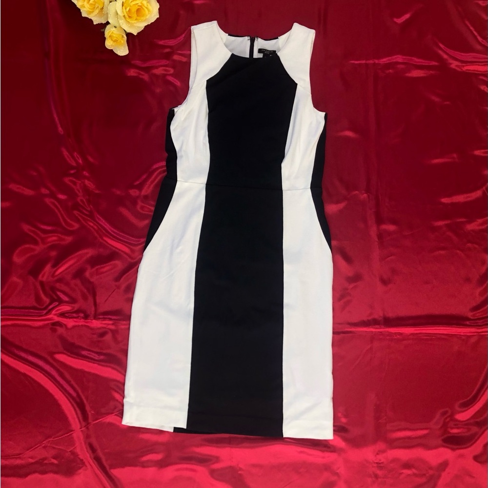 Ann Taylor Black & White Color Block Sleeveless Sheath Dress Petite - Picture 4 of 8